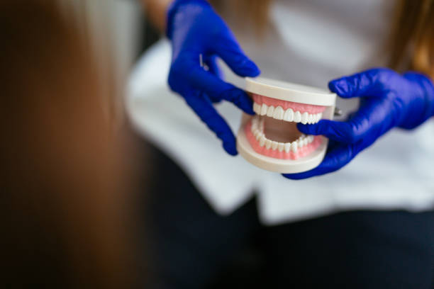 Minonk, IL Holistic Dental Care Services Company